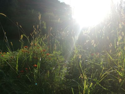 Apartment Bauernhaus "Landlust", 2 Bäder, WC, 3 Schlafräume - Outdoor photo 68