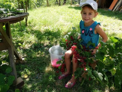 Apartment Bauernhaus "Landlust", 2 Bäder, WC, 3 Schlafräume - Outdoor photo 73