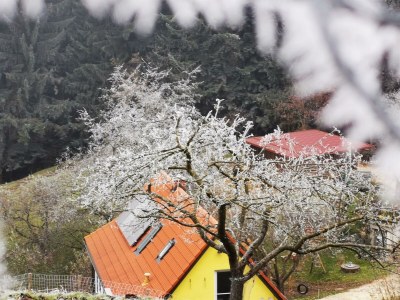 Apartment Bauernhaus "Landlust", 2 Bäder, WC, 3 Schlafräume - Outdoor photo 80