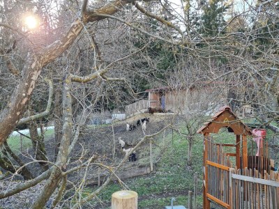 Apartment Bauernhaus "Landlust", 2 Bäder, WC, 3 Schlafräume - Outdoor photo 81