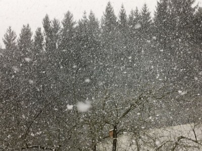 Apartment Bauernhaus "Landlust", 2 Bäder, WC, 3 Schlafräume - Outdoor photo 82