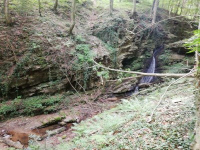 Apartment Bauernhaus "Landlust", 2 Bäder, WC, 3 Schlafräume - Features photo 101