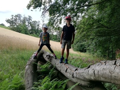 Apartment Bauernhaus "Landlust", 2 Bäder, WC, 3 Schlafräume - Features photo 102