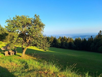 Apartment Hütte, Bad, WC, 2 Schlafräume - Outdoor photo 16