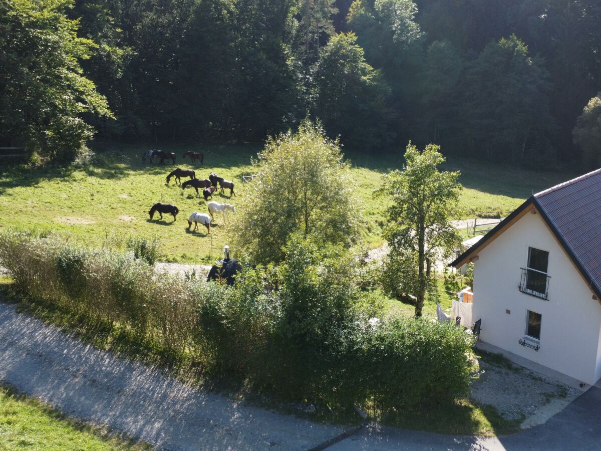 Apartment Kellerstöckl ohne Verpflegung - Outdoor photo 4
