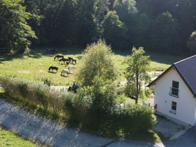 Apartment Kellerstöckl ohne Verpflegung - Outdoor photo 4