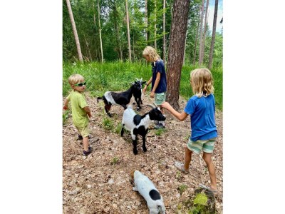 Apartment Kellerstöckl ohne Verpflegung - Outdoor photo 12