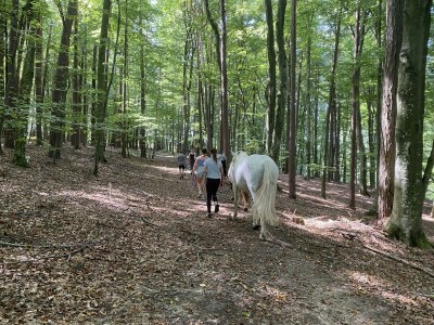 Apartment Kellerstöckl ohne Verpflegung - Outdoor photo 19