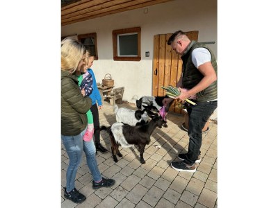 Apartment Kellerstöckl ohne Verpflegung - Outdoor photo 20