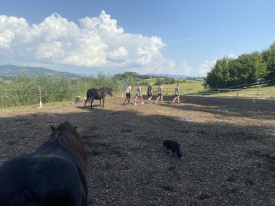 Apartment Kellerstöckl ohne Verpflegung - Outdoor photo 24