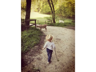 Apartment Kellerstöckl ohne Verpflegung - Outdoor photo 26