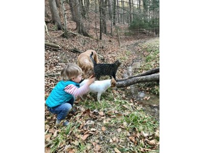 Apartment Kellerstöckl ohne Verpflegung - Outdoor photo 28