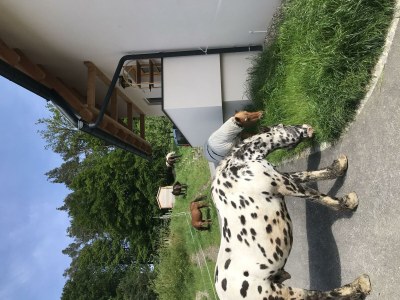 Apartment Kellerstöckl ohne Verpflegung - Outdoor photo 29