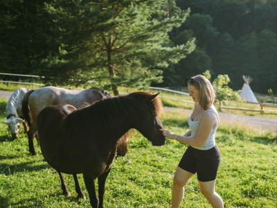 Apartment Kellerstöckl ohne Verpflegung - Outdoor photo 31
