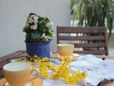 Holiday room 7 Nächte, Residenz - Outdoor photo 16