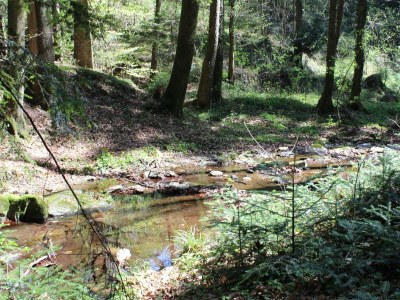 Holiday room 7 Nächte, Residenz - Outdoor photo 19