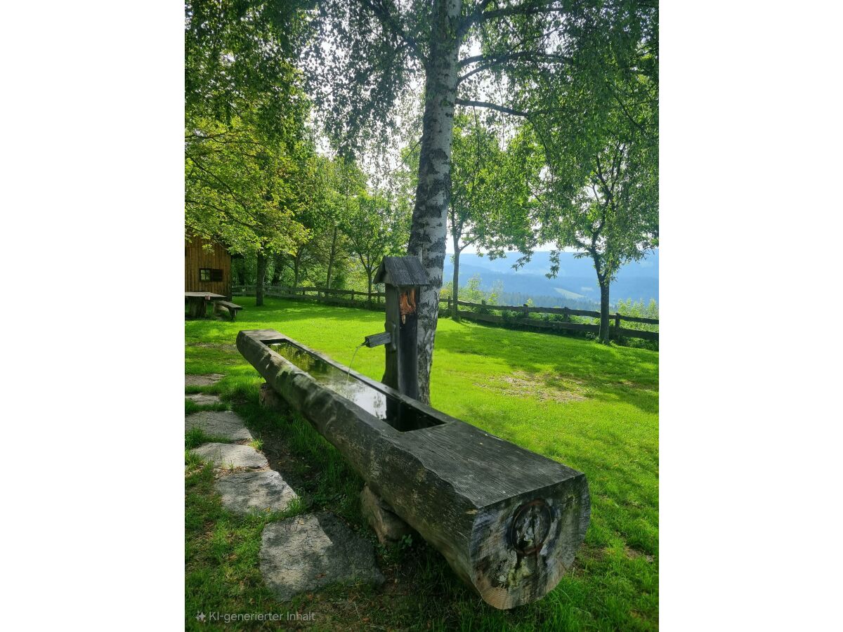 Apartment Waldheimathütte - Outdoor photo 5