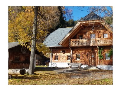 Apartment Waldheimathütte in St. Kathrein am Hauenstein - Apartment