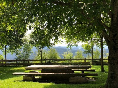 Apartment Waldheimathütte - Outdoor photo 2