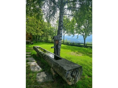 Apartment Waldheimathütte - Outdoor photo 5