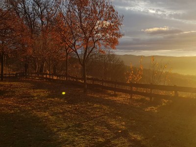 Apartment Waldheimathütte - Outdoor photo 8