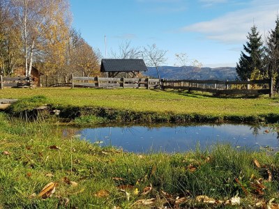 Apartment Waldheimathütte - Outdoor photo 11