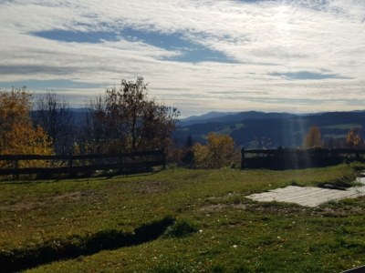 Apartment Waldheimathütte - Outdoor photo 12