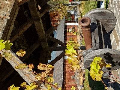 Apartment Waldheimathütte - Outdoor photo 13