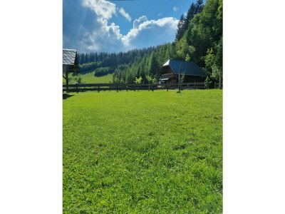 Apartment Waldheimathütte - Outdoor photo 16