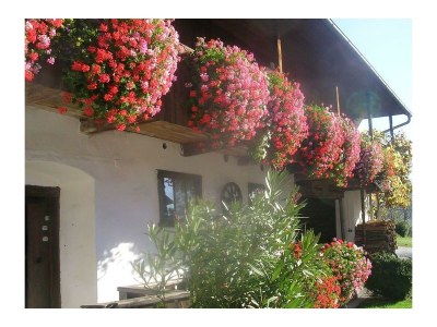 Apartment Ferienwohnung im alten Bauernhaus - Outdoor photo 4