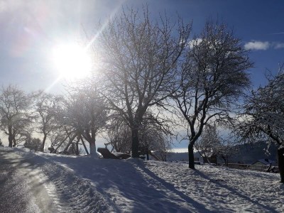 Apartment Ferienwohnung im alten Bauernhaus - Outdoor photo 7