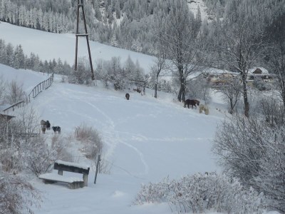 Apartment Ferienwohnung "Edelweiß" 2 Badezimmer - Outdoor photo 6
