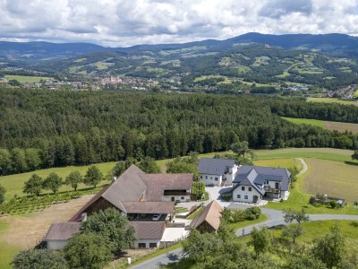 Apartment Weinberg-Wohnung (ab 3 Nächte) - Outdoor photo 5