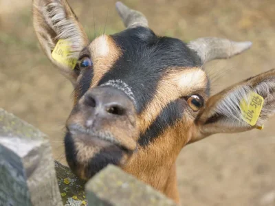Apartment Weinberg-Wohnung (ab 3 Nächte) - Outdoor photo 7