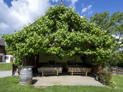 Apartment Weinberg-Wohnung (ab 3 Nächte) - Outdoor photo 9