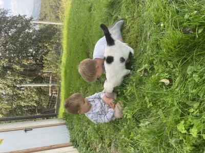 Apartment Weinberg-Wohnung (ab 3 Nächte) - Outdoor photo 13