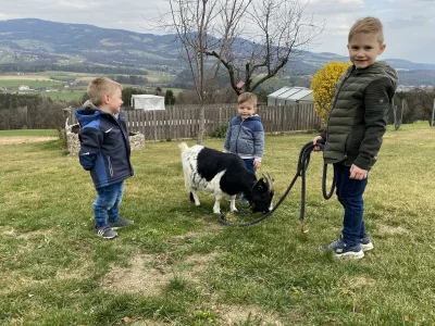 Apartment Weinberg-Wohnung (ab 3 Nächte) - Outdoor photo 16