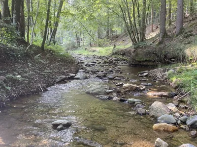 Apartment Weinberg-Wohnung (ab 3 Nächte) - Outdoor photo 18