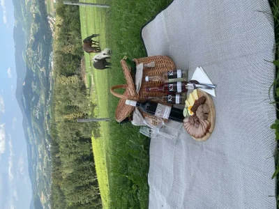 Apartment Weinberg-Wohnung (ab 3 Nächte) - Outdoor photo 19