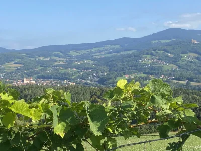 Apartment Weinberg-Wohnung (ab 3 Nächte) - Outdoor photo 20