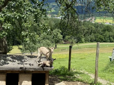 Apartment Weinberg-Wohnung (ab 3 Nächte) - Outdoor photo 21