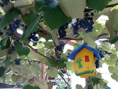 Apartment Appartement/Fewo, Kulmblick - Outdoor photo 10