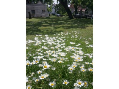 Apartment Appartement/Fewo, Kulmblick - Outdoor photo 11