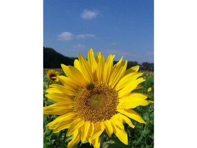 Apartment Appartement/Fewo, Kulmblick - Outdoor photo 14