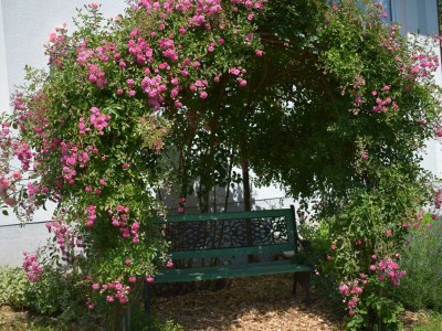 Apartment Appartement/Fewo, Kulmblick - Outdoor photo 15