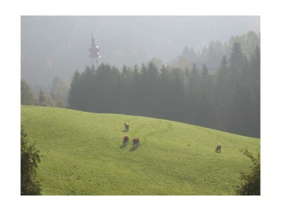 Apartment "Lavendeltraum" im Obergeschoss - Outdoor photo 11