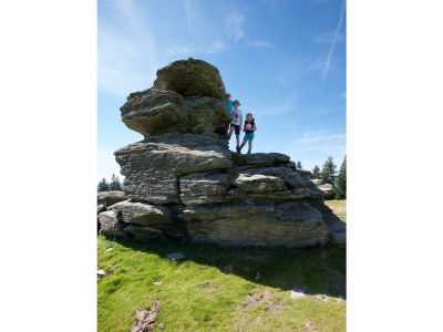 Apartment "Lavendeltraum" im Obergeschoss - Outdoor photo 14