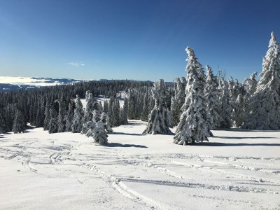 Apartment Ferienhaus (ab 3 Nächte) - Outdoor photo 4