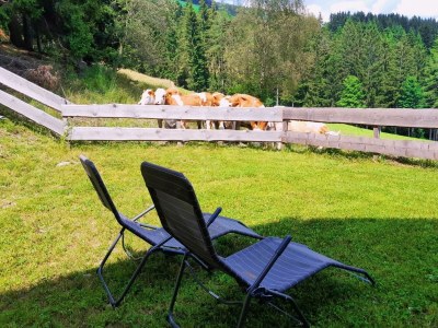 Apartment Ferienhaus (ab 3 Nächte) - Outdoor photo 9