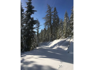 Apartment Ferienhaus (ab 3 Nächte) - Outdoor photo 11